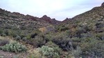 photo thumbnail #10