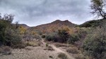 photo thumbnail #12