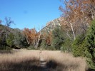 photo thumbnail #7