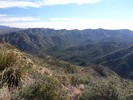 photo thumbnail #9