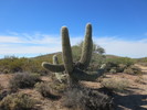 photo thumbnail #6