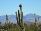 photo thumbnail #10
