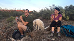 photo thumbnail #5