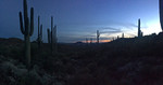 photo thumbnail #7