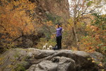 photo thumbnail #7
