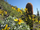 photo thumbnail #2