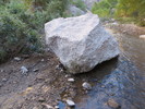 recent photo