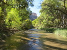 photo thumbnail #15