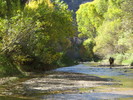 photo thumbnail #14