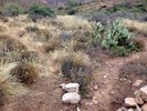 photo thumbnail #14