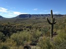 photo thumbnail #5