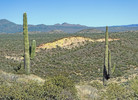 photo thumbnail #8