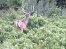 photo thumbnail #5