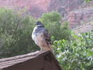 photo thumbnail #7