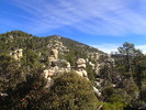 photo thumbnail #5