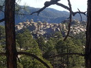 photo thumbnail #6