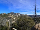 photo thumbnail #8