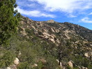 photo thumbnail #12