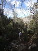 photo thumbnail #14