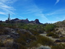 photo thumbnail #2