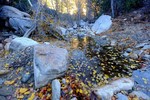 photo thumbnail #13