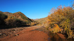 photo thumbnail #6
