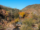 photo thumbnail #11
