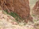 photo thumbnail #14