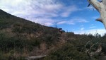 photo thumbnail #5