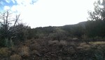 photo thumbnail #11