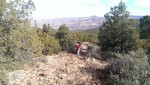 photo thumbnail #14