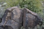 photo thumbnail #4