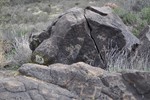 photo thumbnail #8