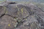 photo thumbnail #11