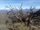 photo thumbnail #5