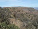 photo thumbnail #8
