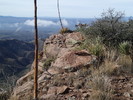 photo thumbnail #15
