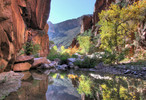 photo thumbnail #9