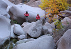 photo thumbnail #5