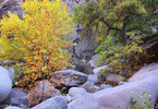 photo thumbnail #4