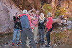 photo thumbnail #7