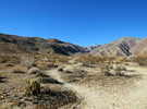 photo thumbnail #10