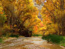 photo thumbnail #15