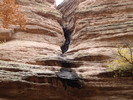 photo thumbnail #9