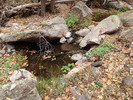 photo thumbnail #13