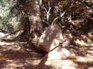 photo thumbnail #10