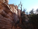 photo thumbnail #14