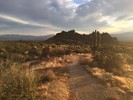 photo thumbnail #4