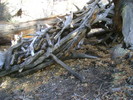 photo thumbnail #7