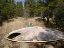 photo thumbnail #4
